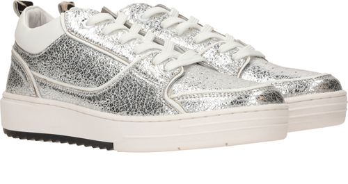 Durlinger Maruti Anna