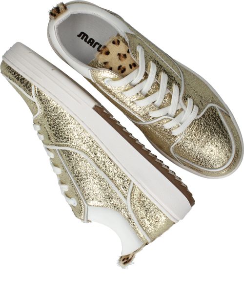 Durlinger Maruti Anna