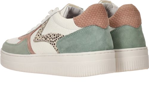 Durlinger Maruti Momo