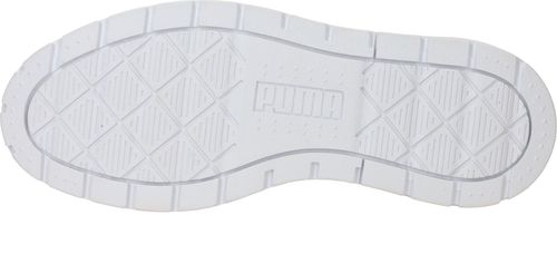 Durlinger Puma Karmen II L