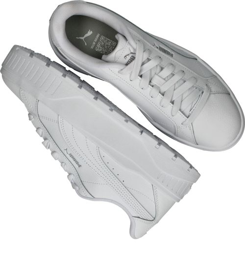 Durlinger Puma Karmen II L