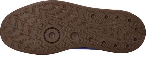 Durlinger Puma Club II Era