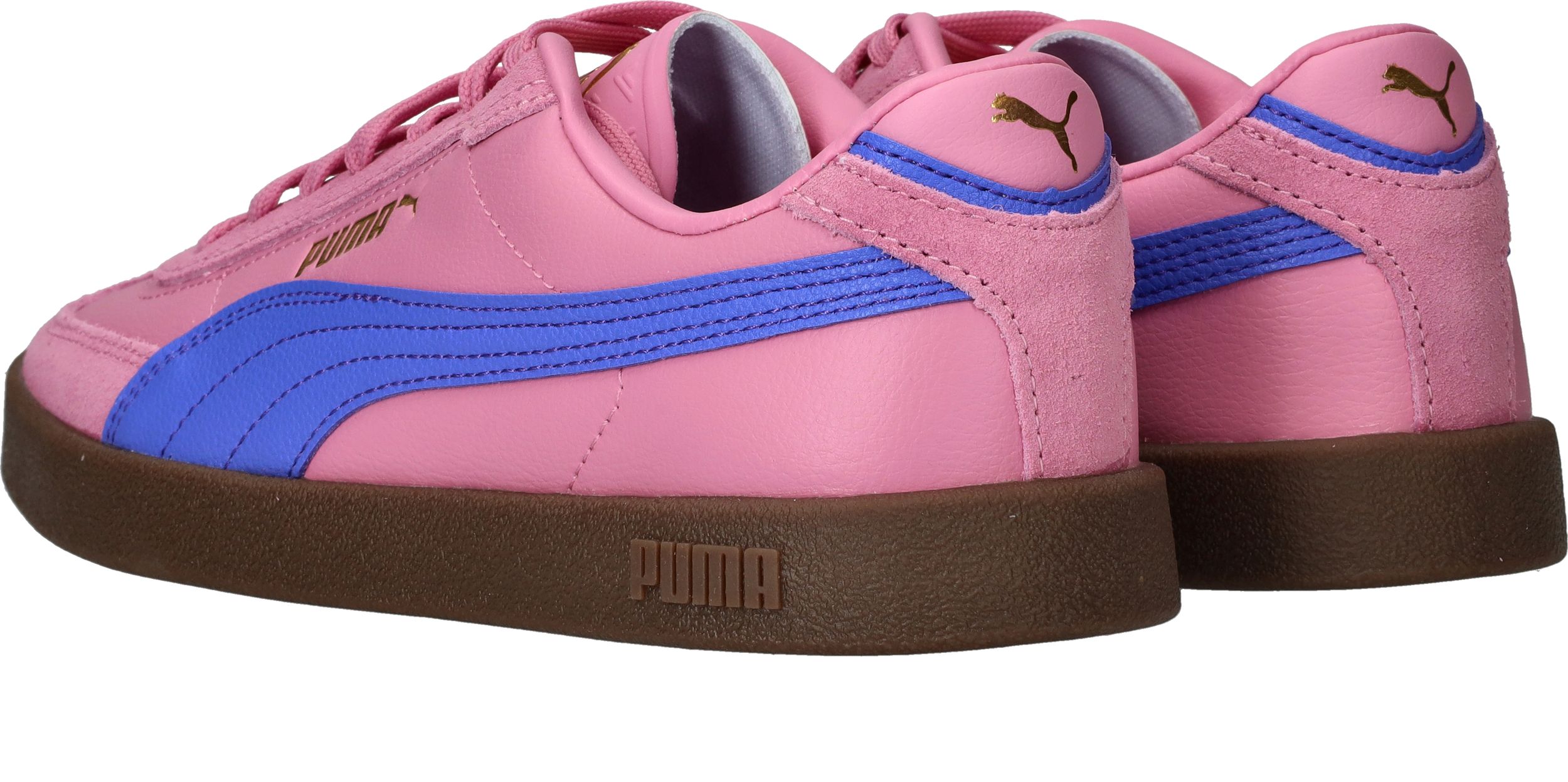 Durlinger Puma Club II Era