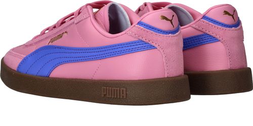 Durlinger Puma Club II Era