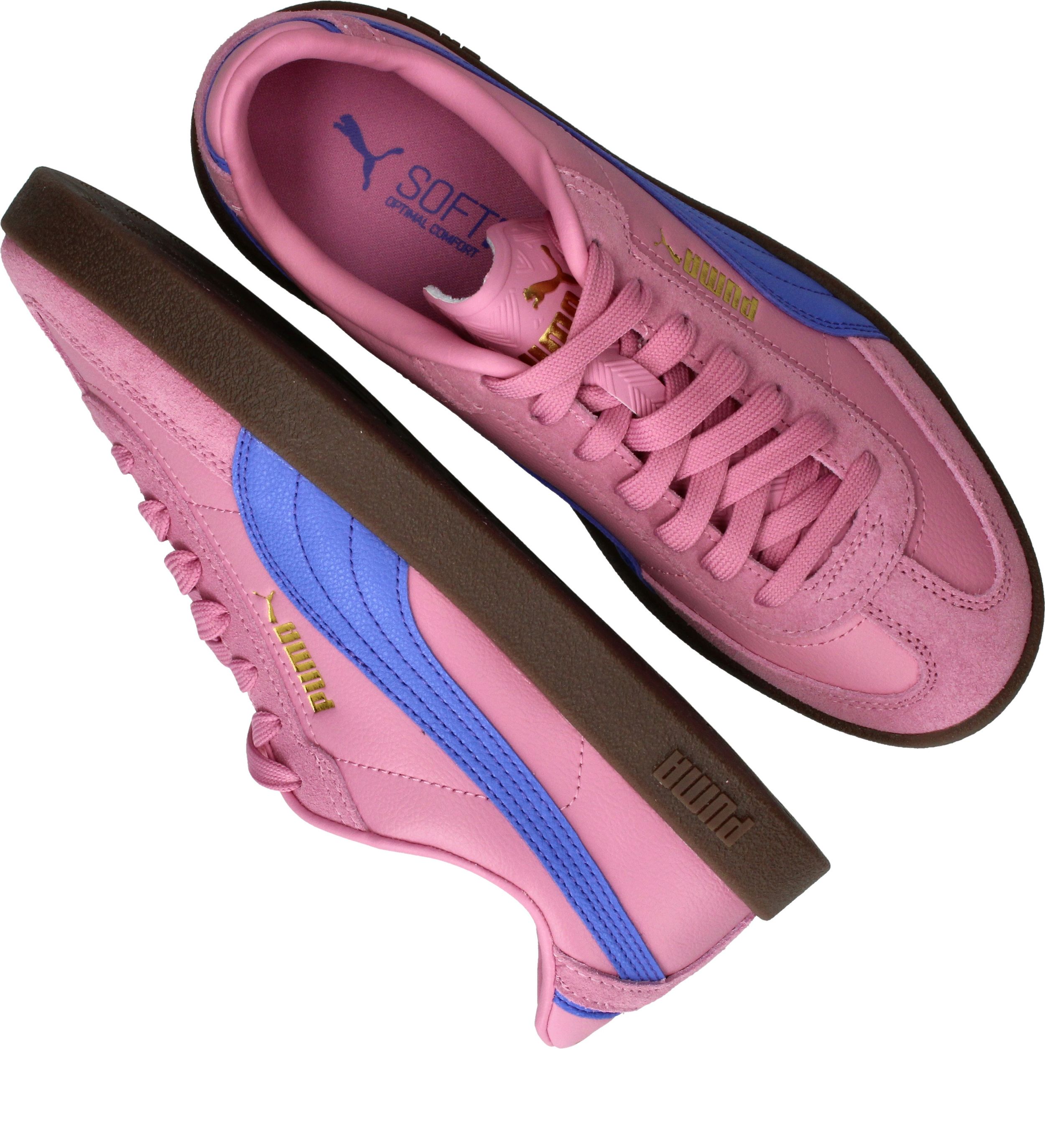 Durlinger Puma Club II Era