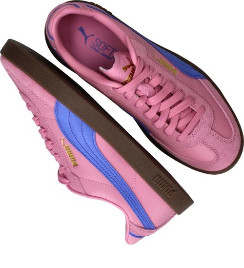 Durlinger Puma Club II Era