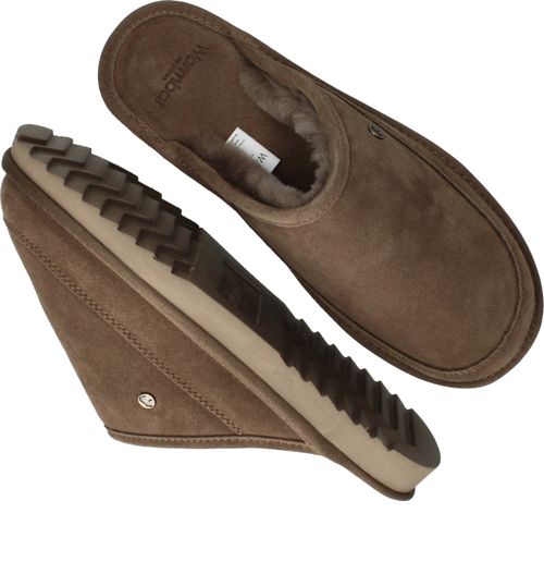 Durlinger Warmbat Cowra