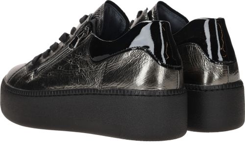 Durlinger Waldlaufer Nicky