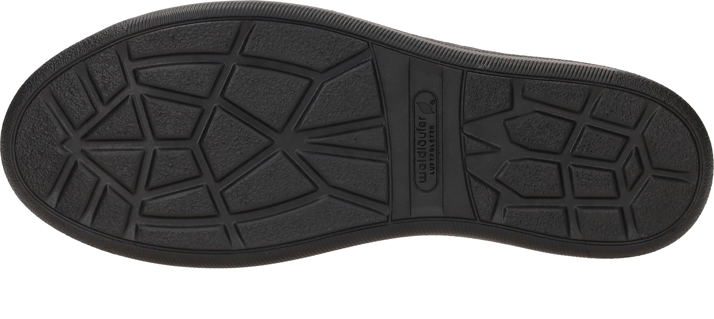 Durlinger Waldlaufer Nicky