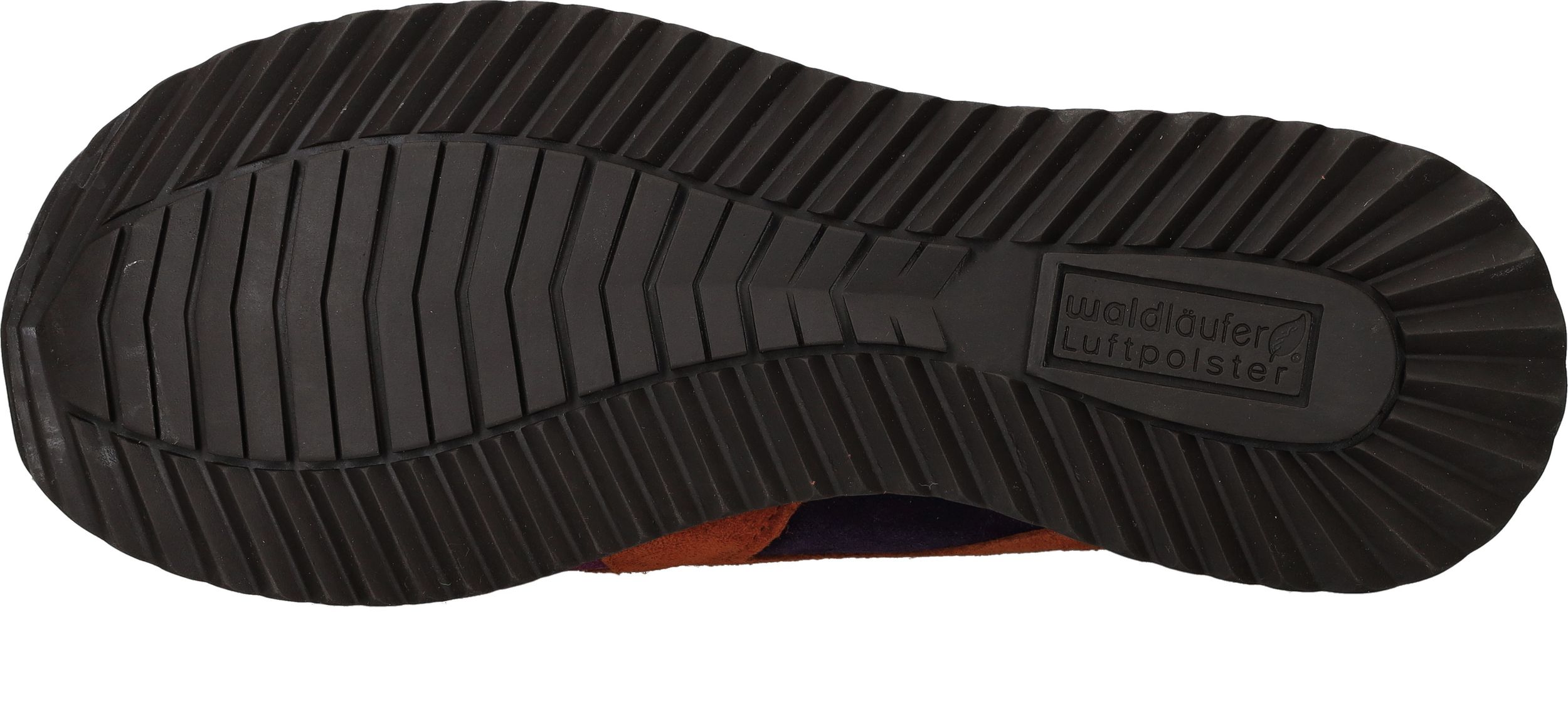 Durlinger Waldlaufer Vicky