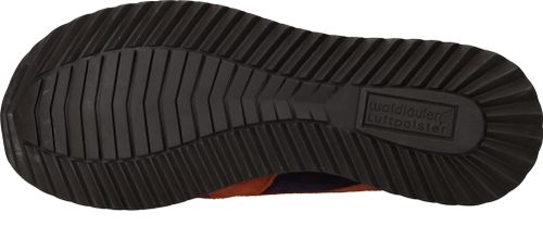 Durlinger Waldlaufer Vicky