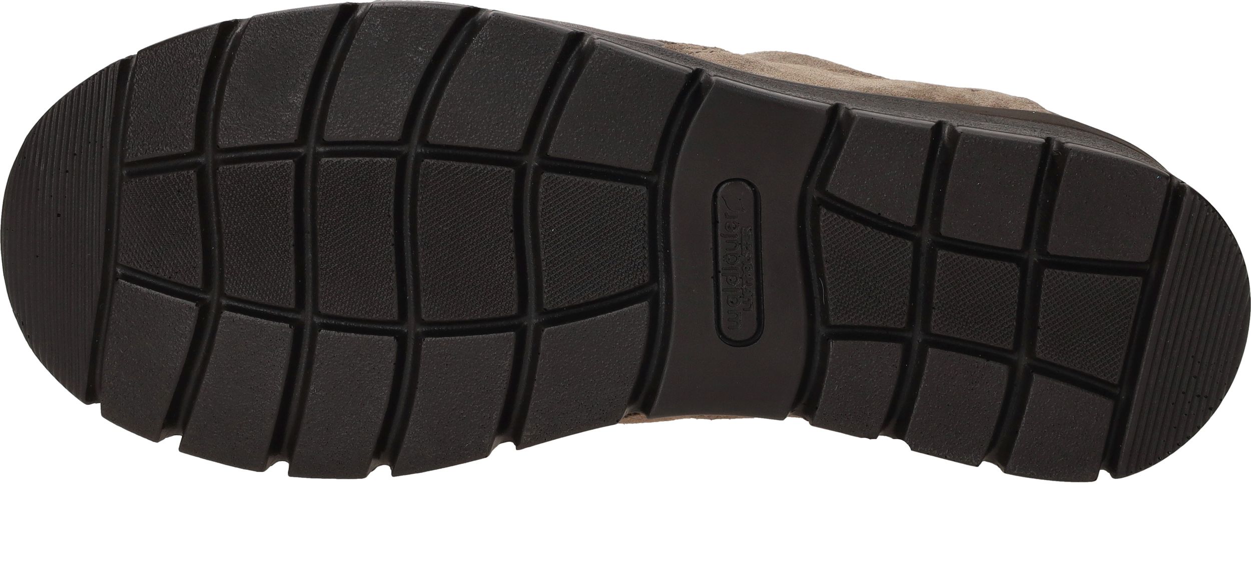 Durlinger Waldlaufer Ramona