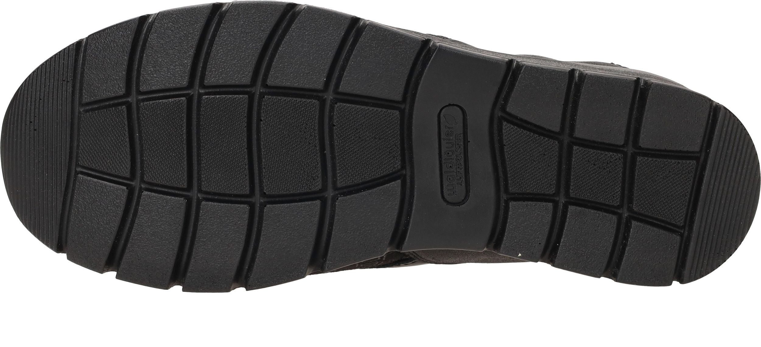 Durlinger Waldlaufer Ramona