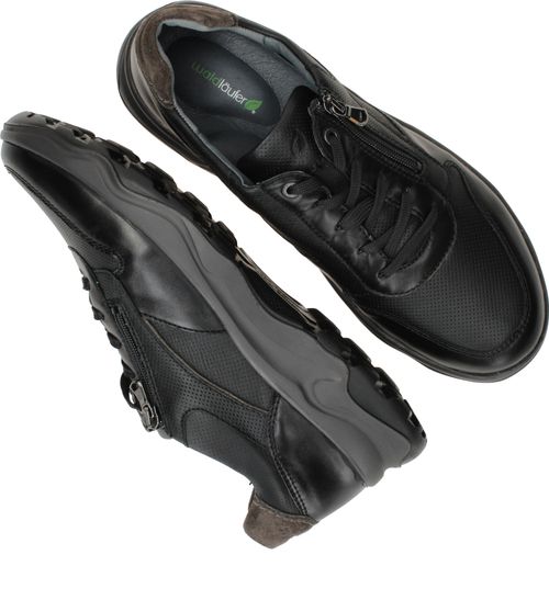 Durlinger Waldlaufer Max