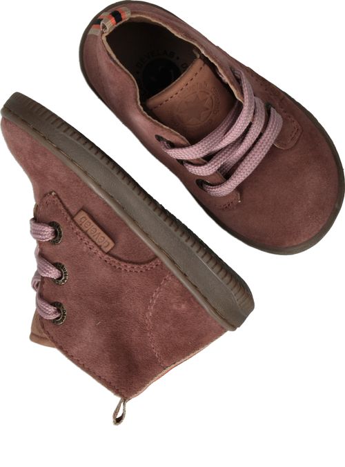 Durlinger Develab Firststeps