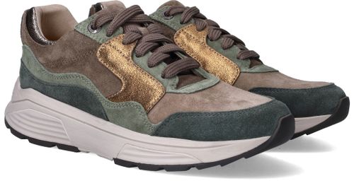 Durlinger Xsensible Golden Gate Stretchwalker