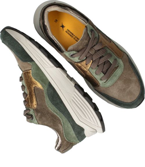 Durlinger Xsensible Golden Gate Stretchwalker