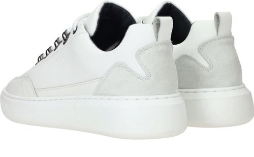 Durlinger Cycleur DLX Brink