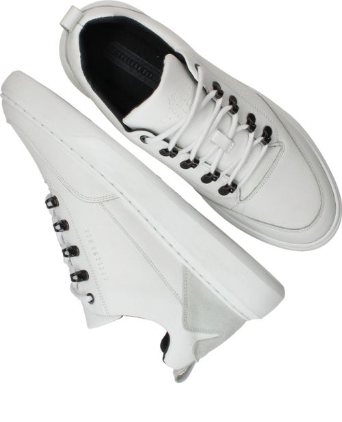 Durlinger Cycleur DLX Brink