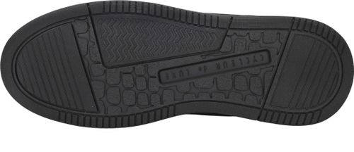 Durlinger Cycleur DLX Frame