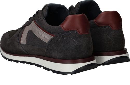 Durlinger Cycleur DLX Coffin