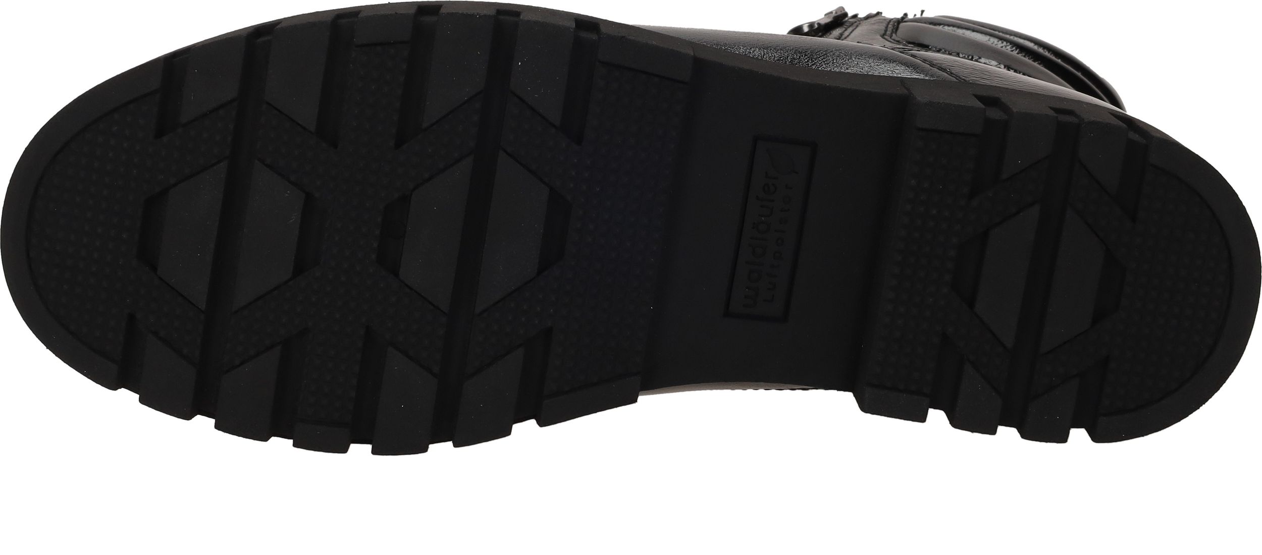 Durlinger Waldläufer Serena