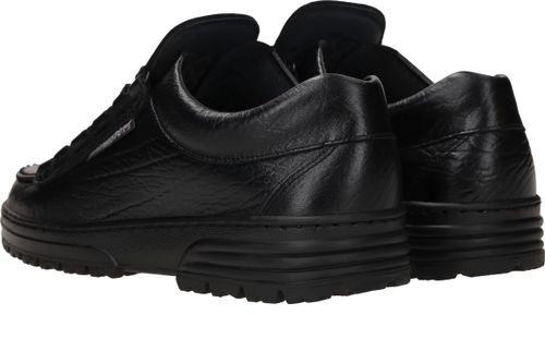 Durlinger Mephisto cruiser