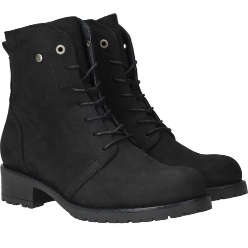 Durlinger Wolky Quinta F2F Longbeach