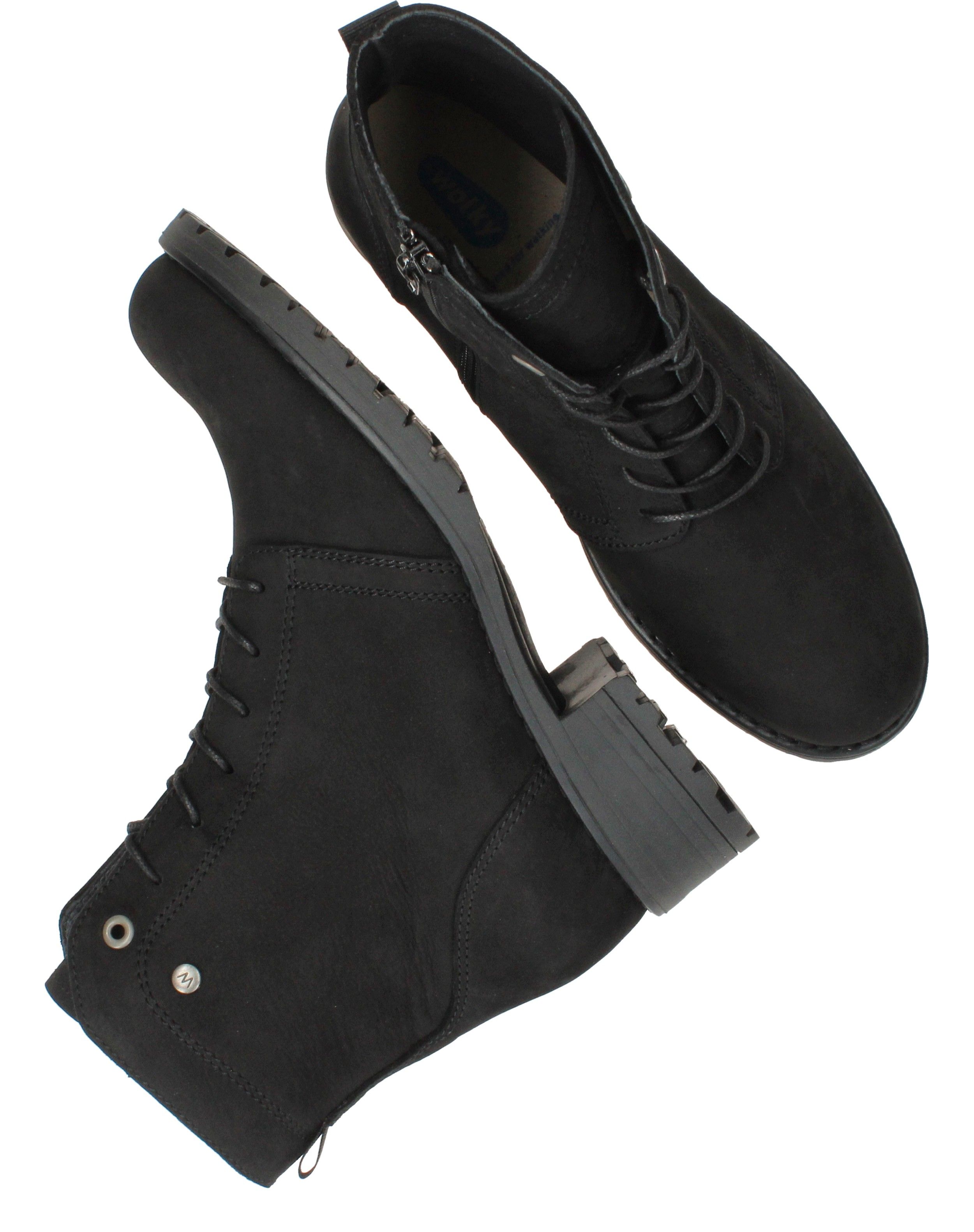 Durlinger Wolky Quinta F2F Longbeach