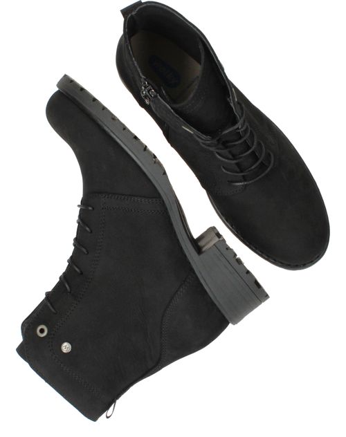 Durlinger Wolky Quinta F2F Longbeach