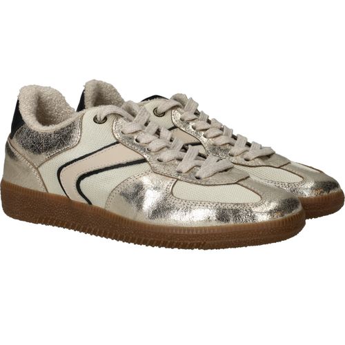 Durlinger Verbenas Sora