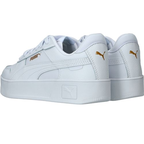 Durlinger Puma Carina Street