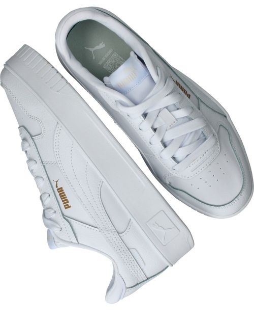 Durlinger Puma Carina Street