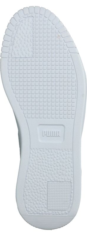 Durlinger Puma Carina Street