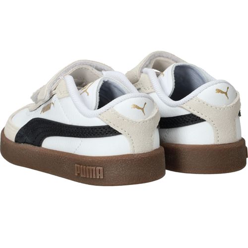 Durlinger Puma Club II Era V