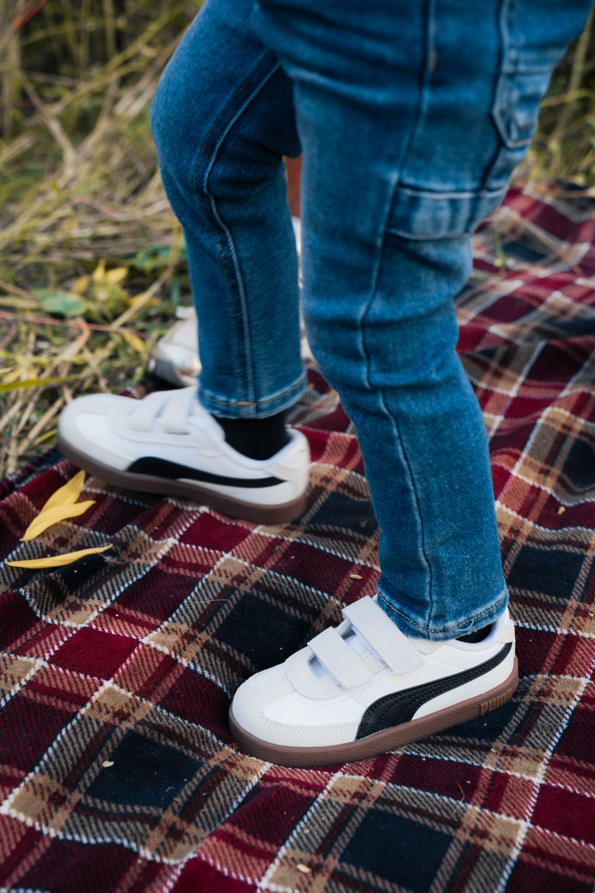 Durlinger Puma Club II Era V