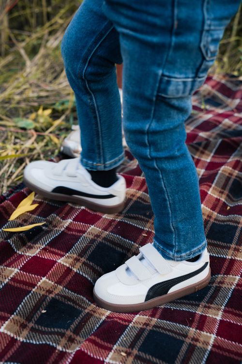 Durlinger Puma Club II Era V