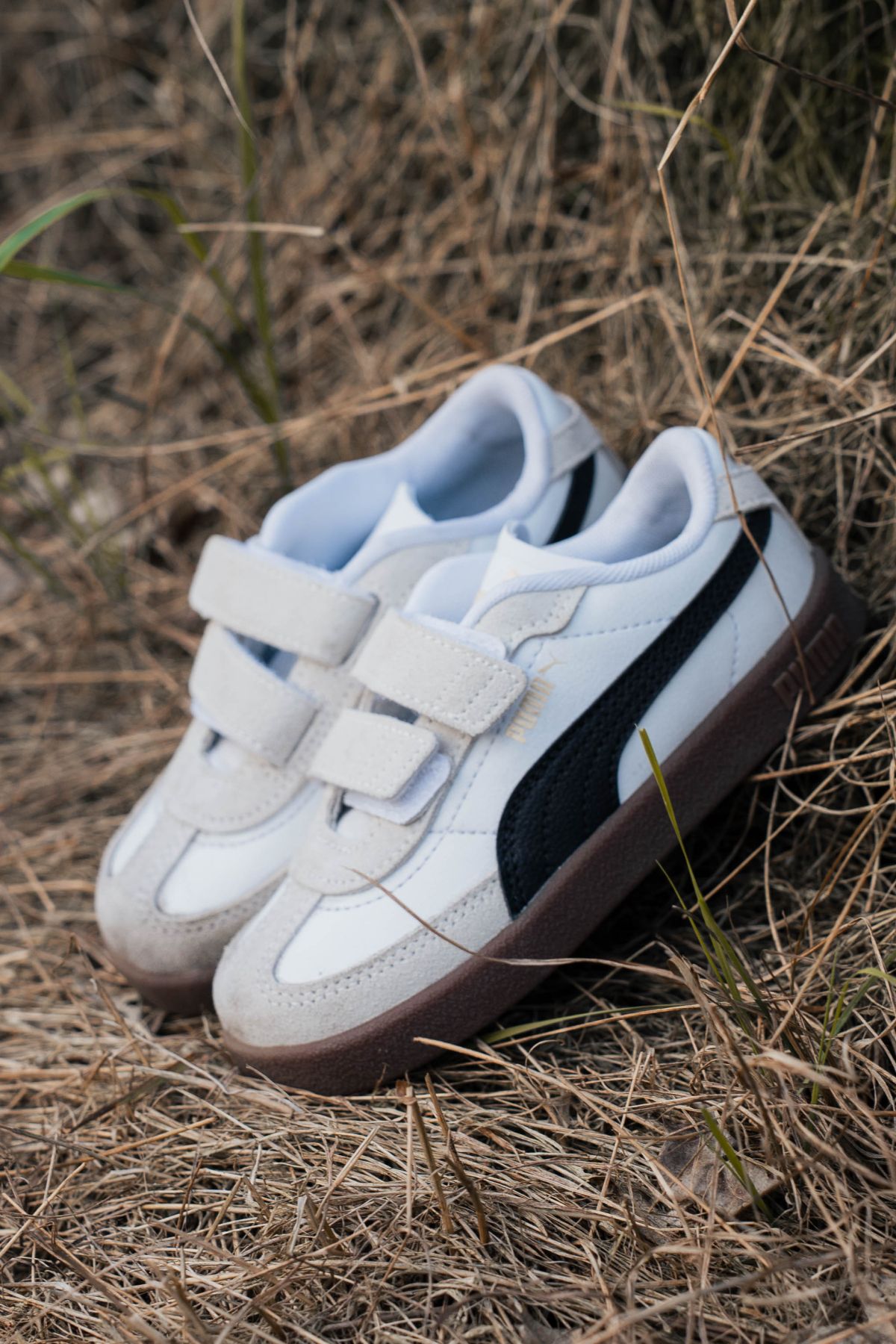 Durlinger Puma Club II Era V