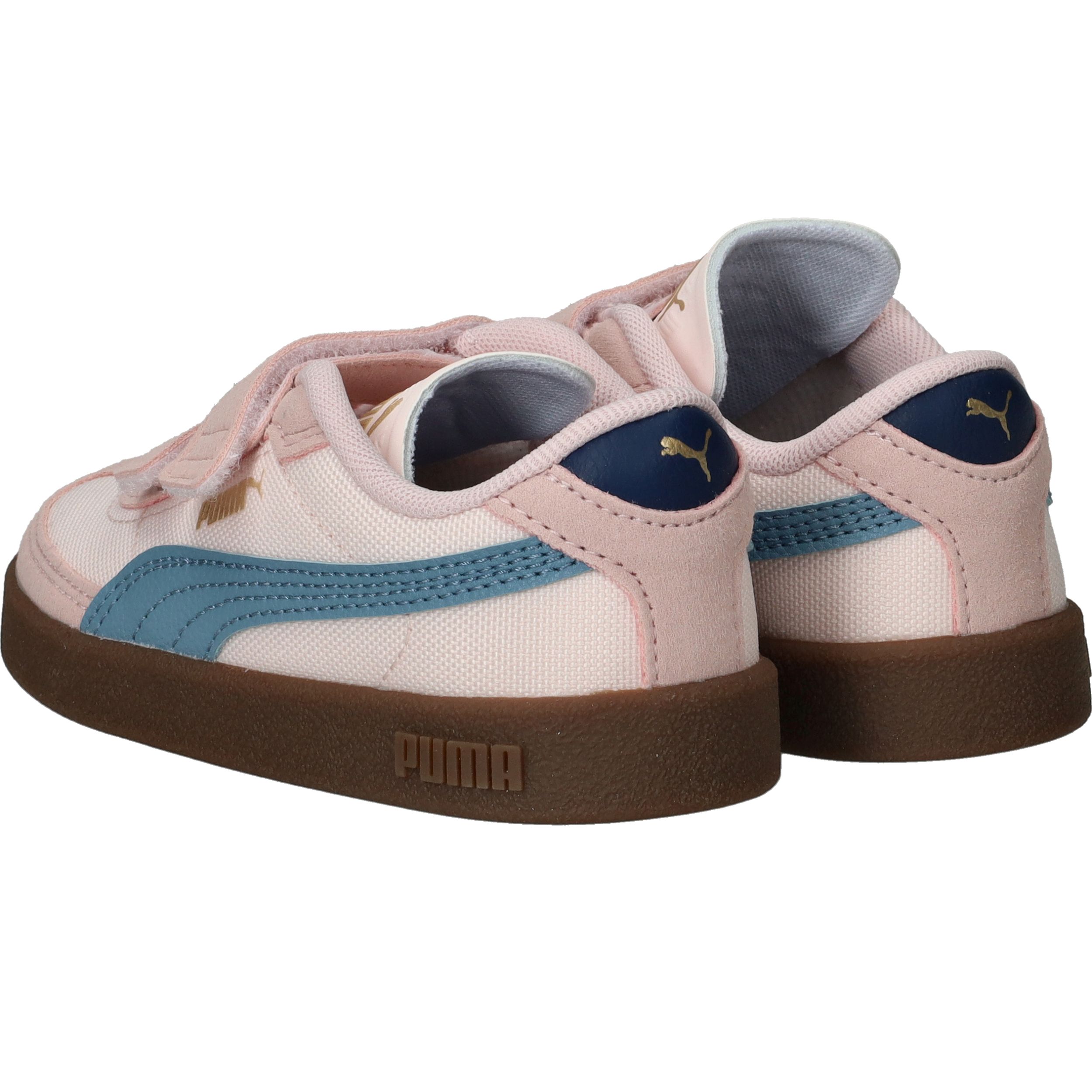 Durlinger Puma Club II Era V