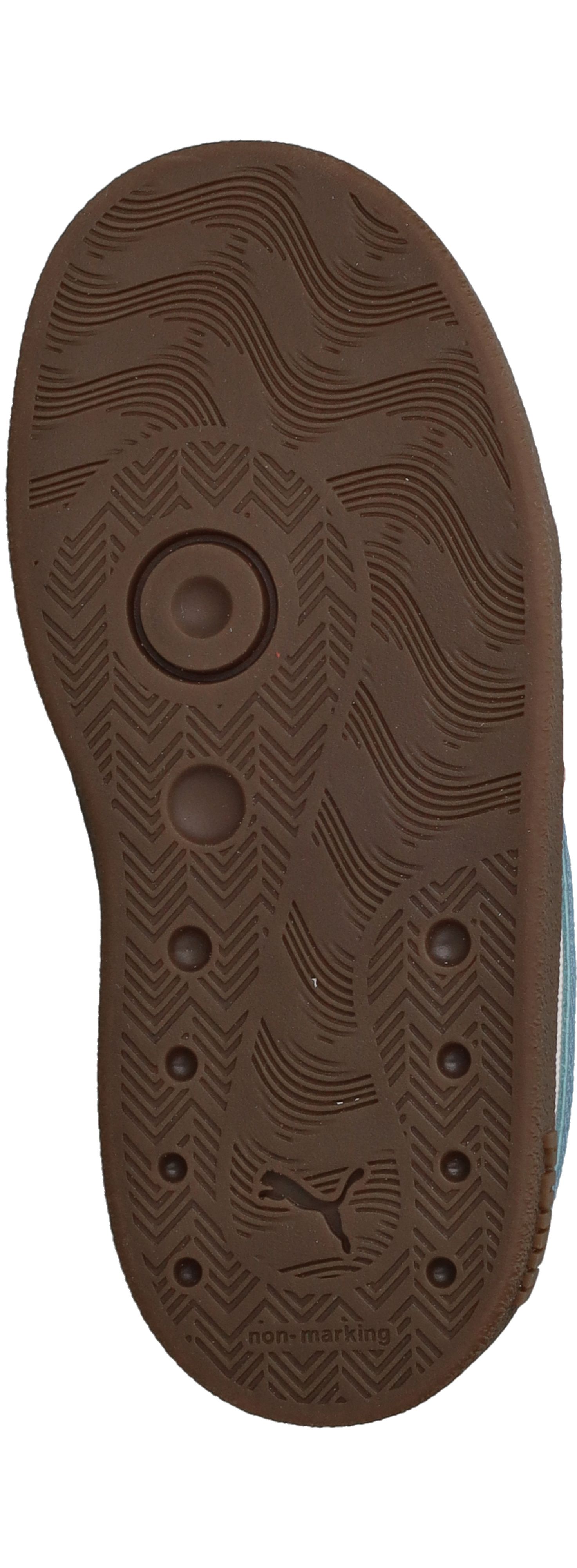 Durlinger Puma Club II Era V