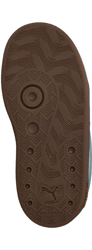 Durlinger Puma Club II Era V