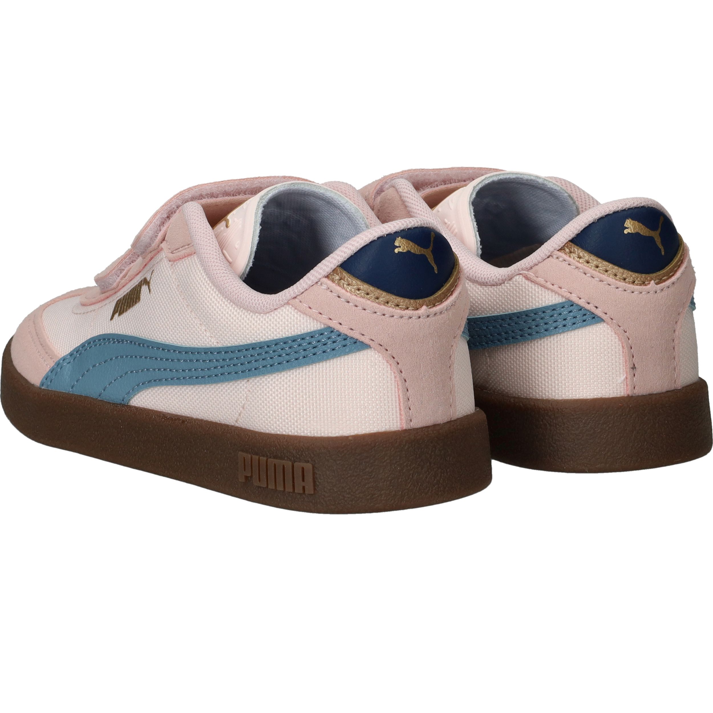 Durlinger Puma Club II Era CV V PS