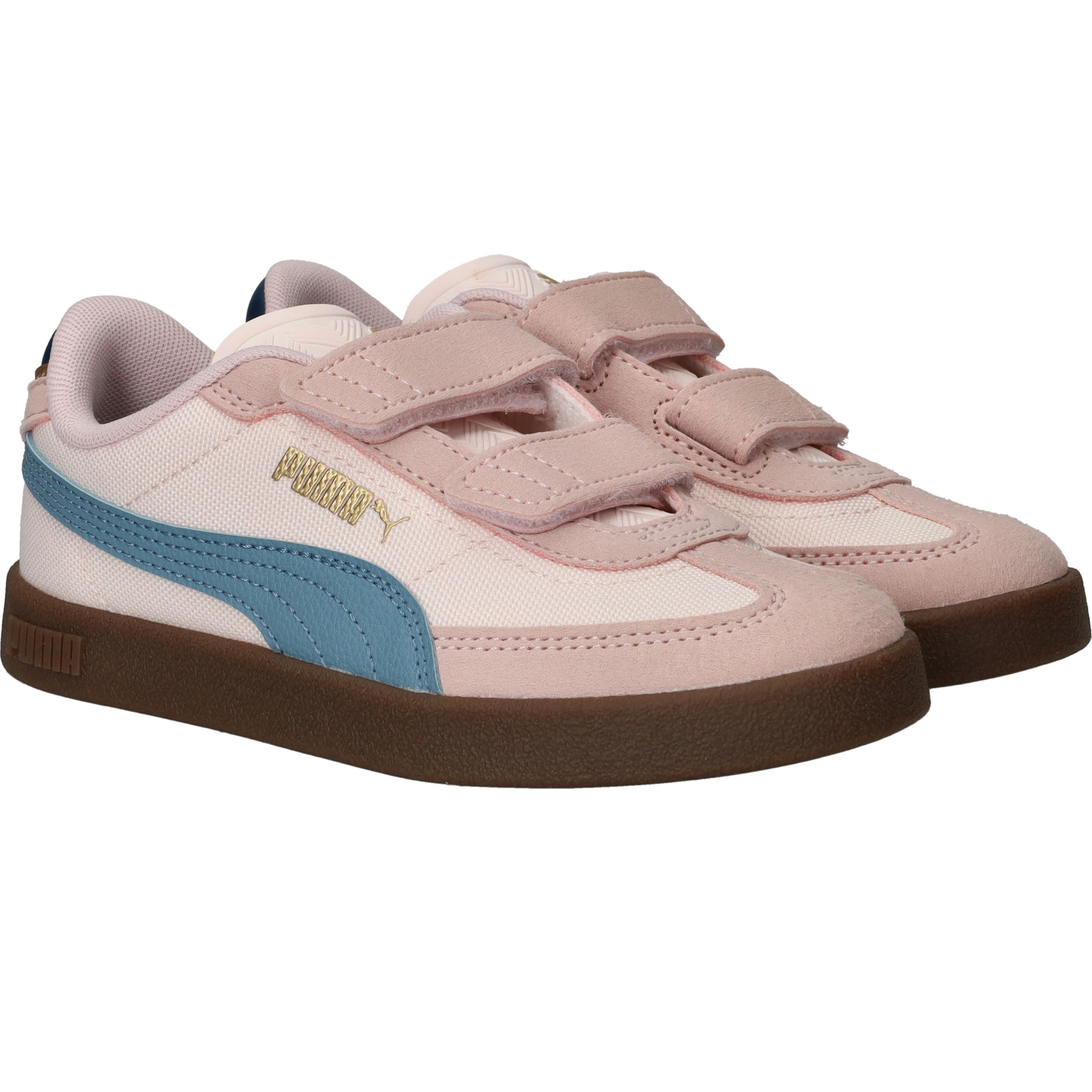 Durlinger Puma Club II Era CV V PS