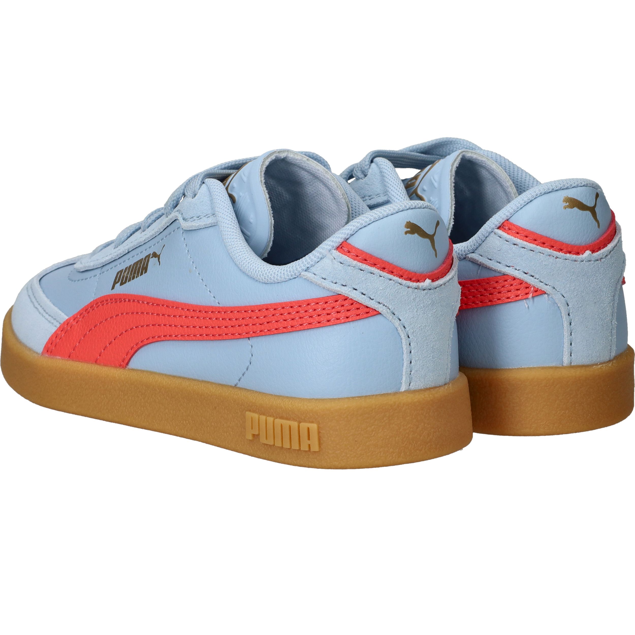 Durlinger Puma Club II Era