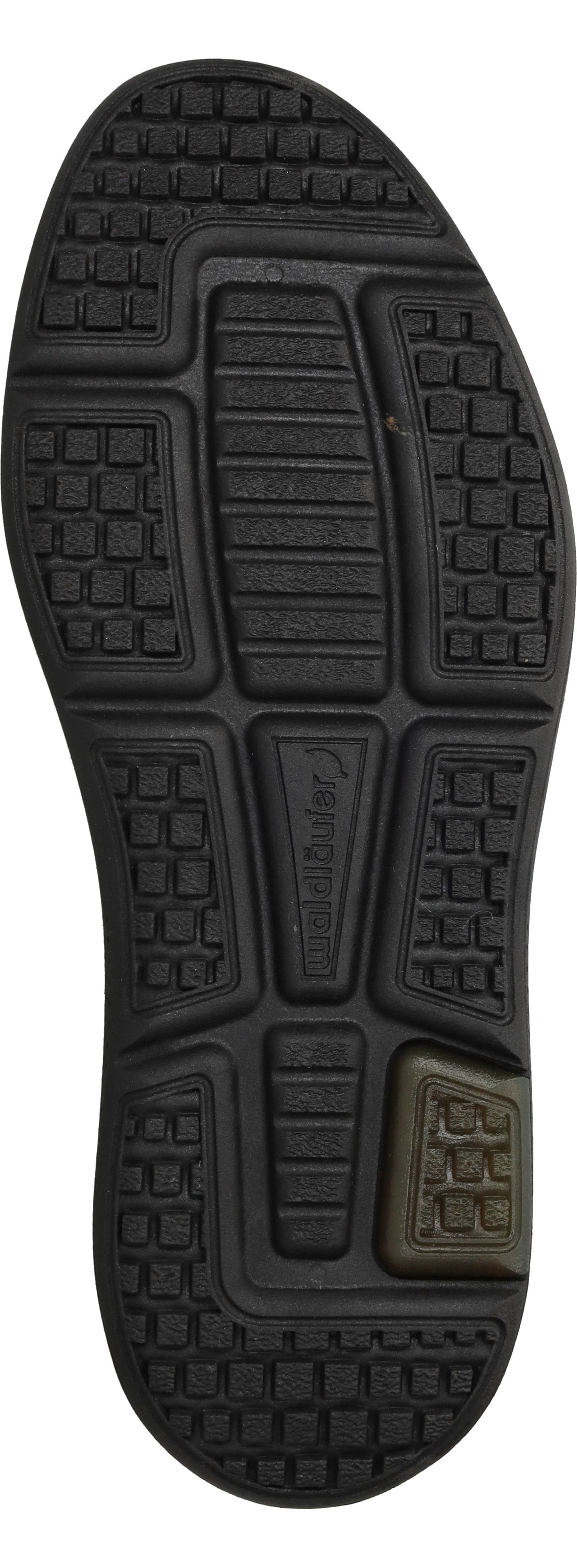 Durlinger Waldlaufer Heiko