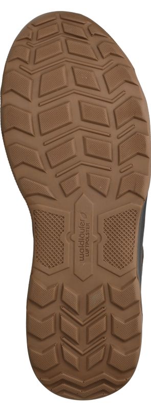 Durlinger Waldlaufer Max