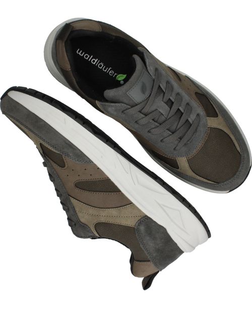 Durlinger Waldlaufer Jack