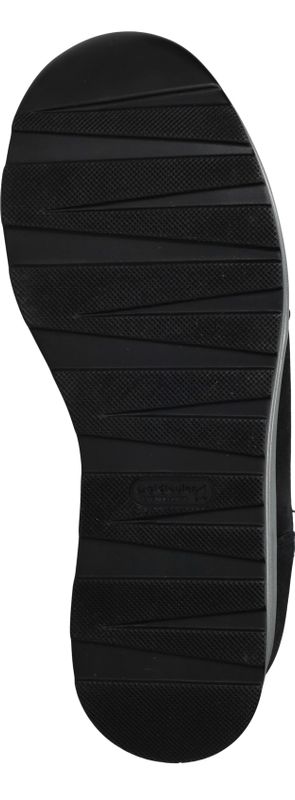 Durlinger Waldlaufer Lana