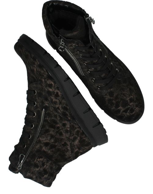 Durlinger Waldlaufer Pina