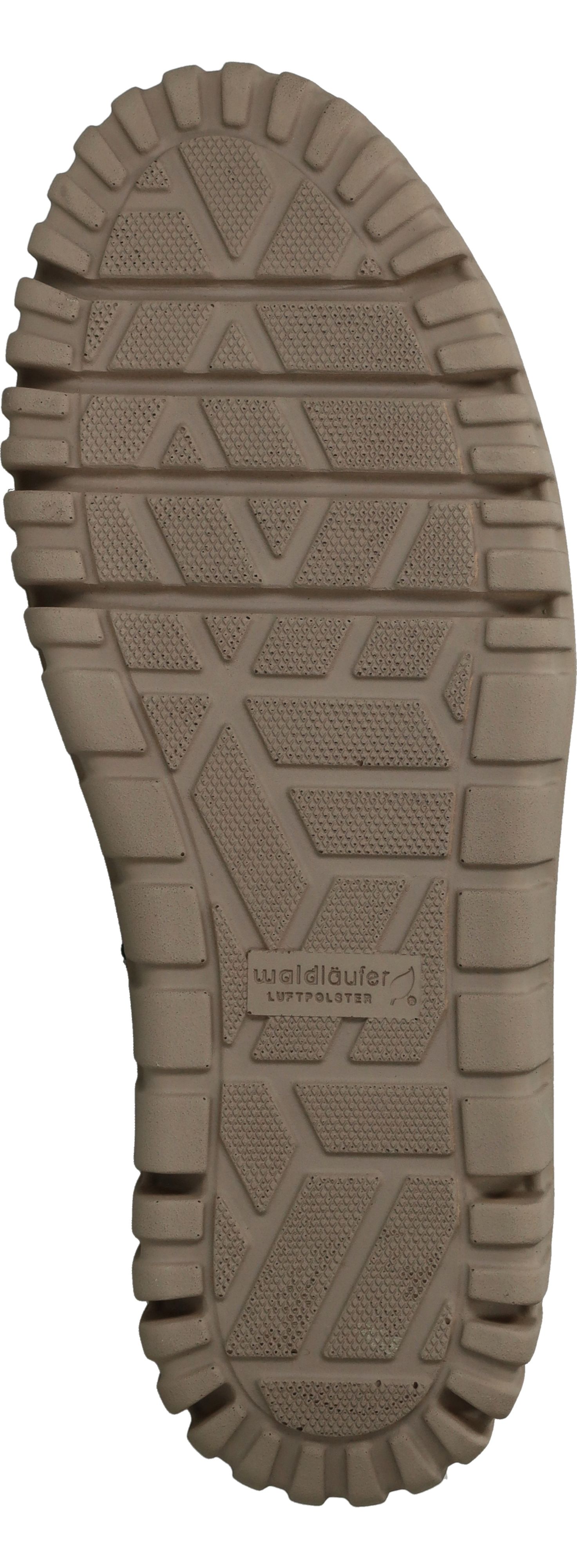 Durlinger Waldlaufer Livia